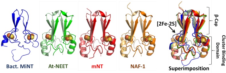 Fig. 2