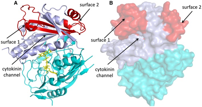 Figure 5