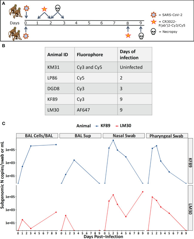 Figure 2