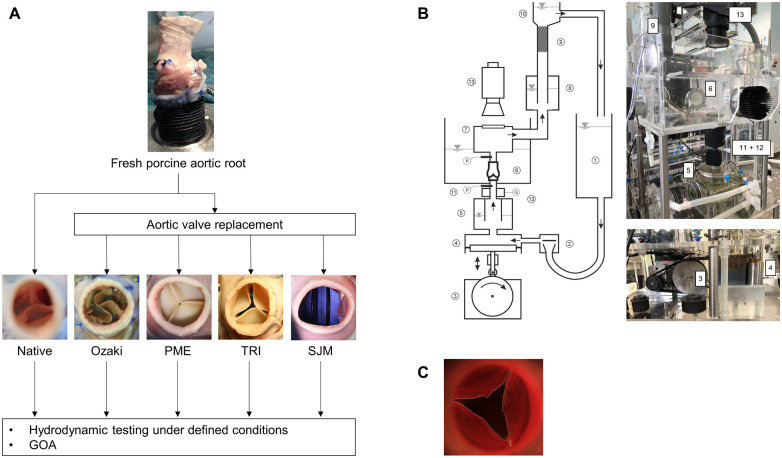 Figure 1: