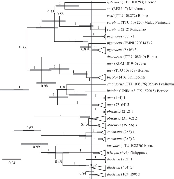 Figure 2.