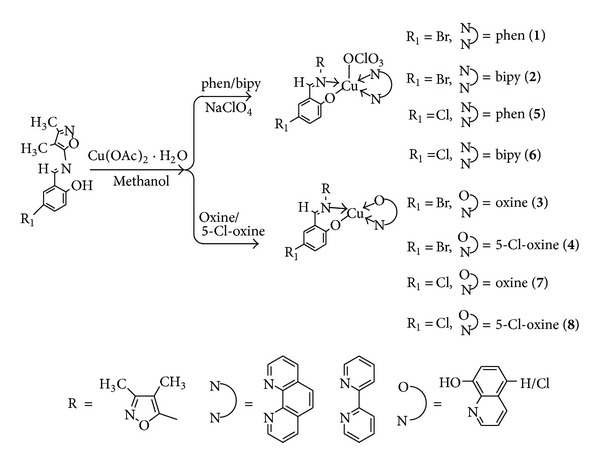 Scheme 1