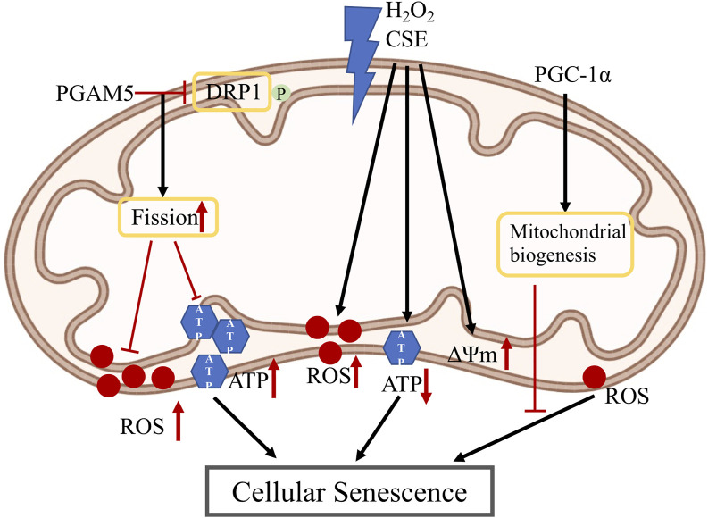 FIGURE 3