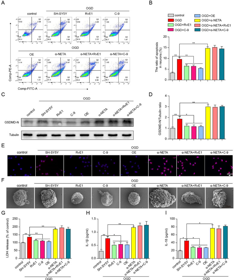 Fig. 6