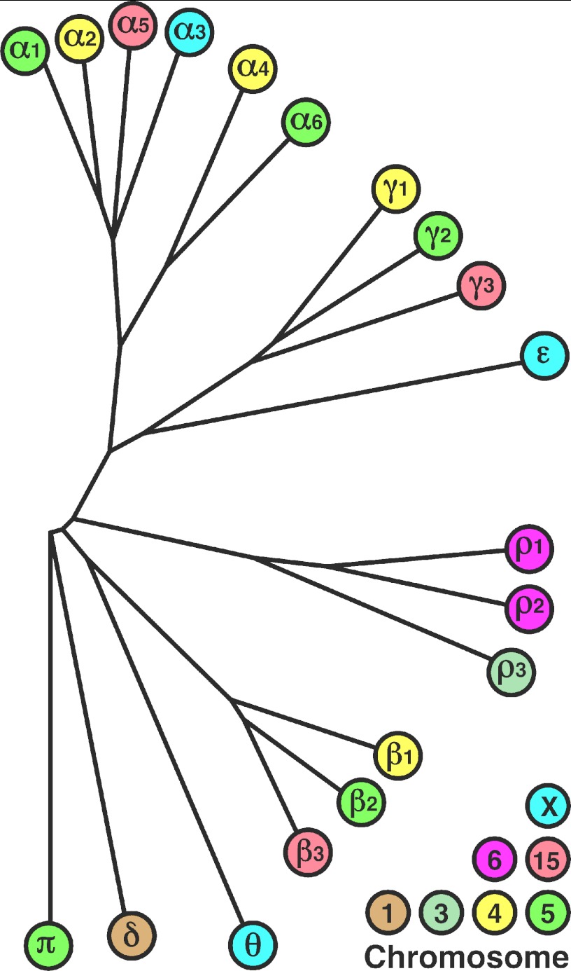 FIGURE 1.