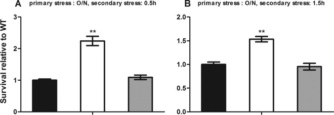 FIG 2