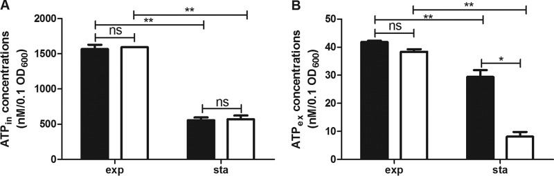 FIG 6