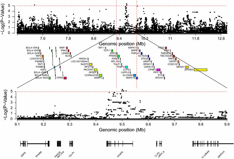 Fig. 3