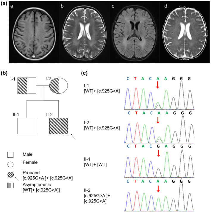 FIGURE 1