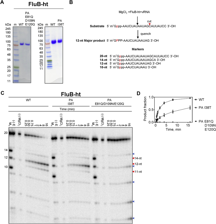 Figure 2