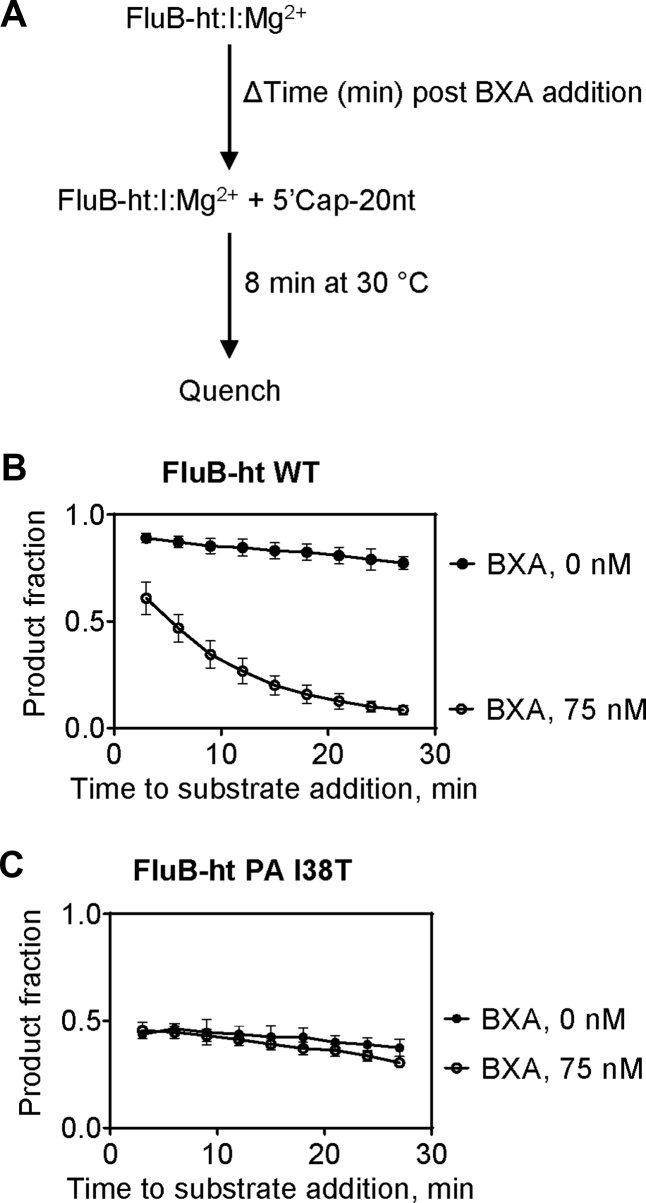 Figure 5