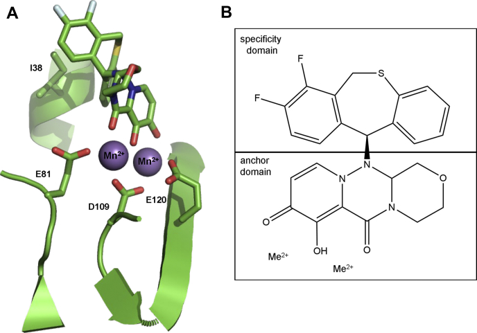 Figure 1