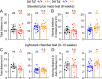 Figure 4—figure supplement 1.