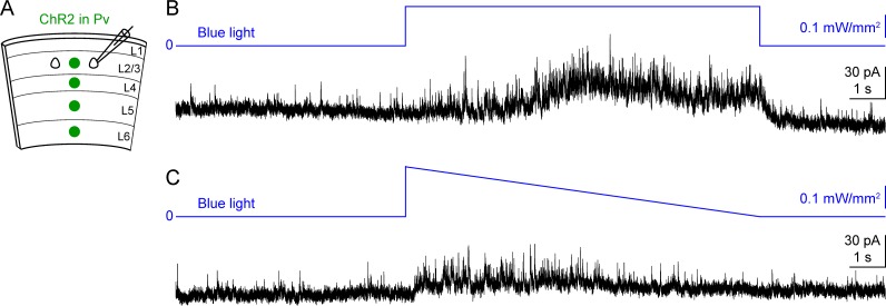 Figure 9—figure supplement 1.