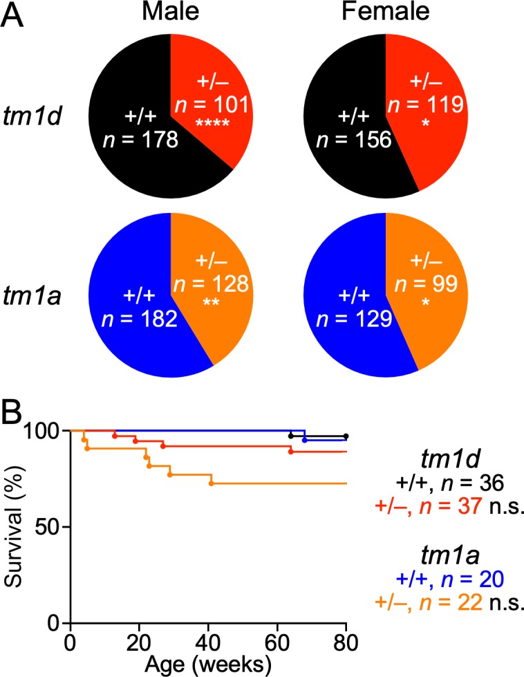 Figure 1—figure supplement 2.