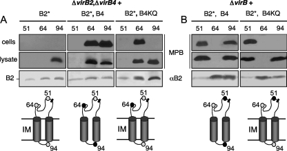 FIG. 4.