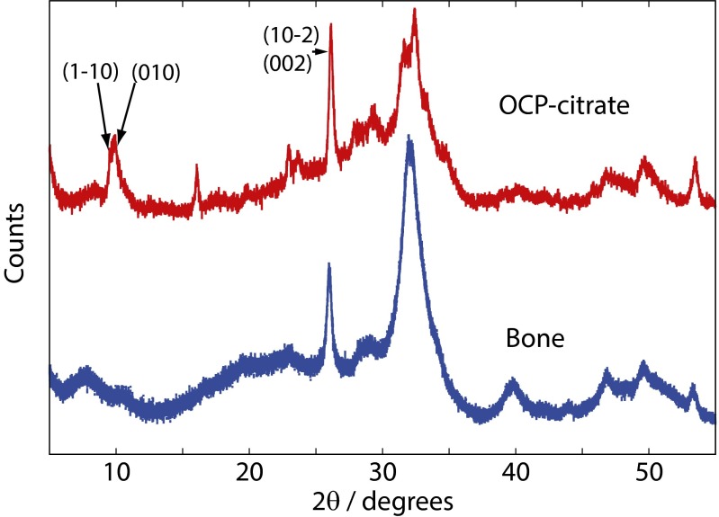 Fig. 8.