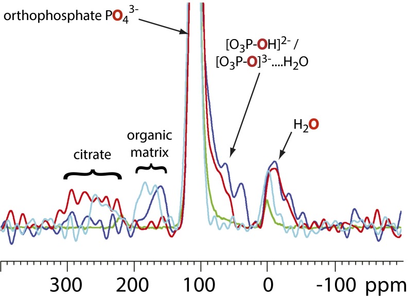 Fig. 10.