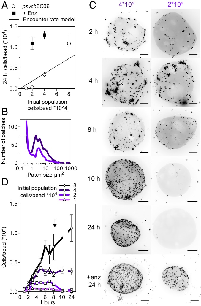 Fig. 4.