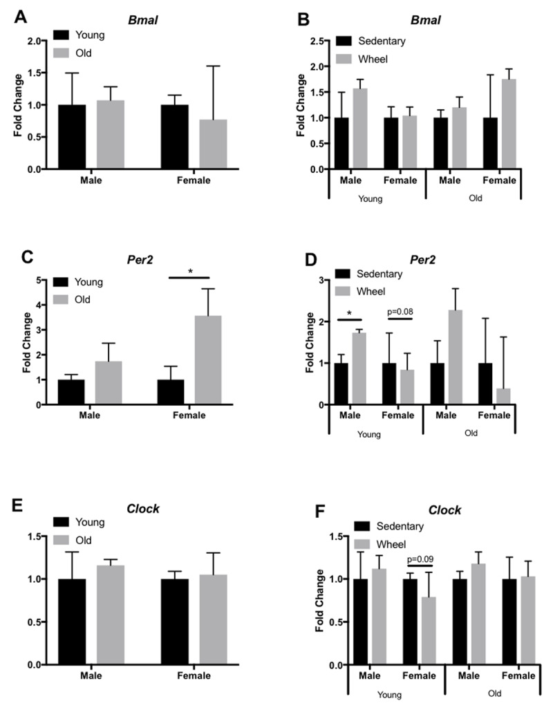 Figure 6