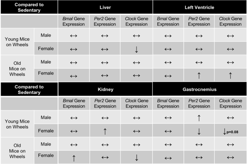 Table 3