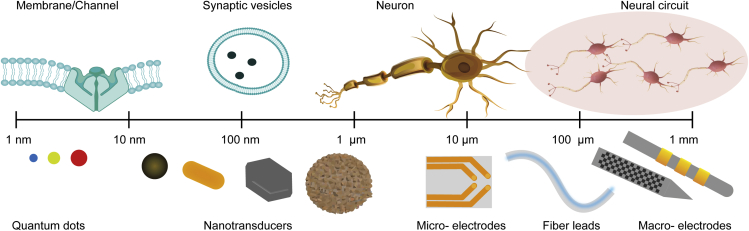 Figure 1