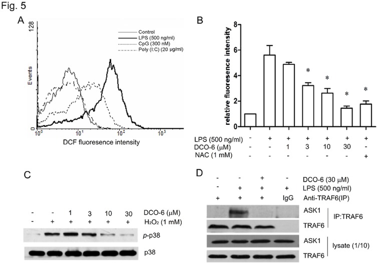 Figure 5