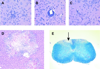 FIG. 5.