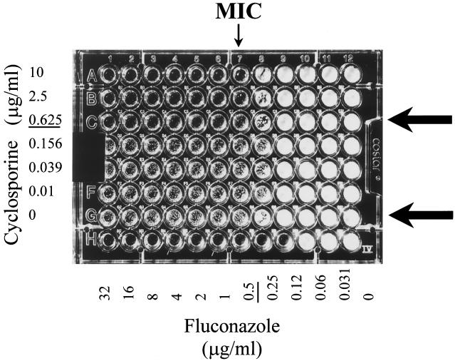 FIG. 2