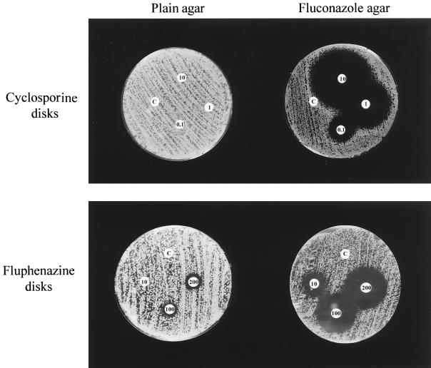 FIG. 1