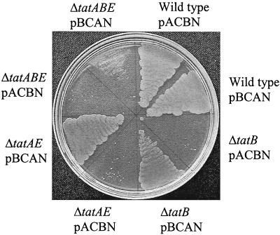 FIG. 6.