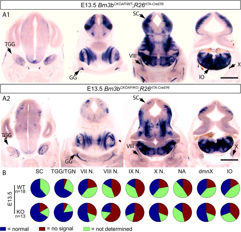 Figure 15