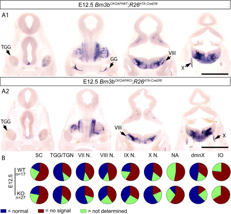 Figure 14