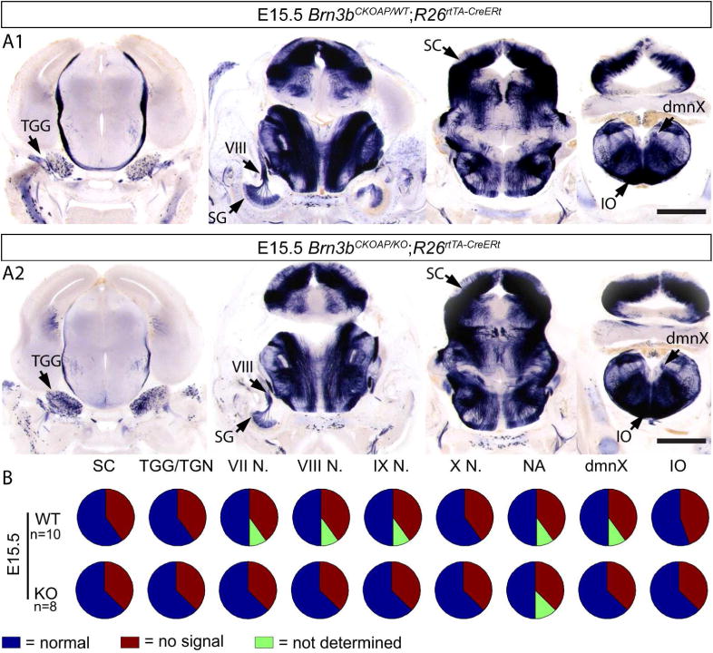 Figure 17