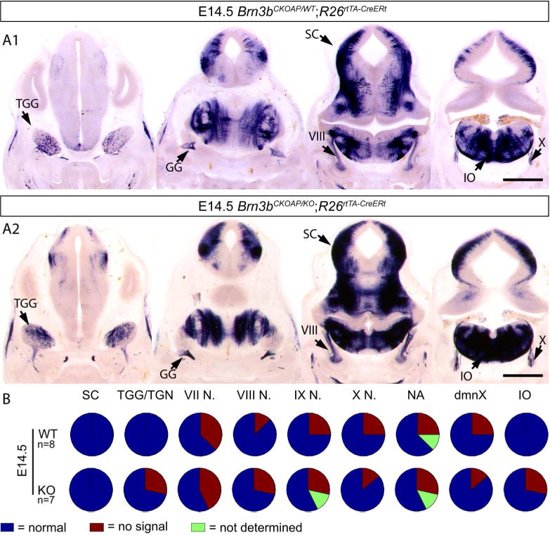 Figure 16