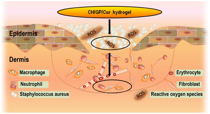 Figure 6.