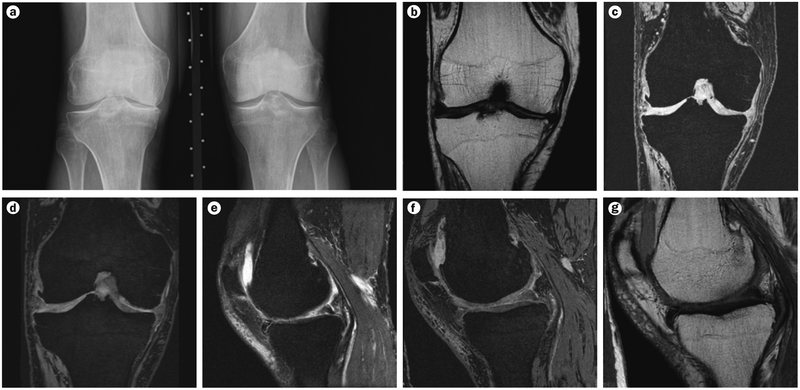 Figure 2 |