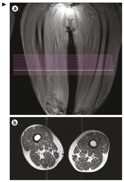 Figure 3 |