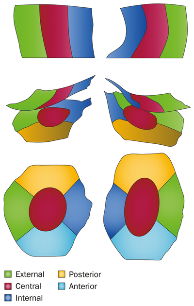 Figure 4 |