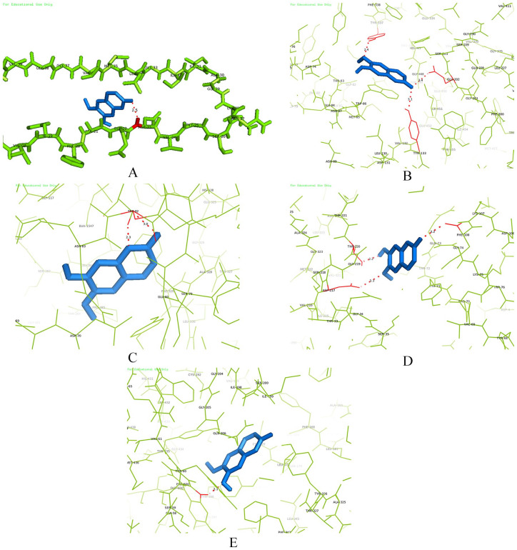 Figure 7.