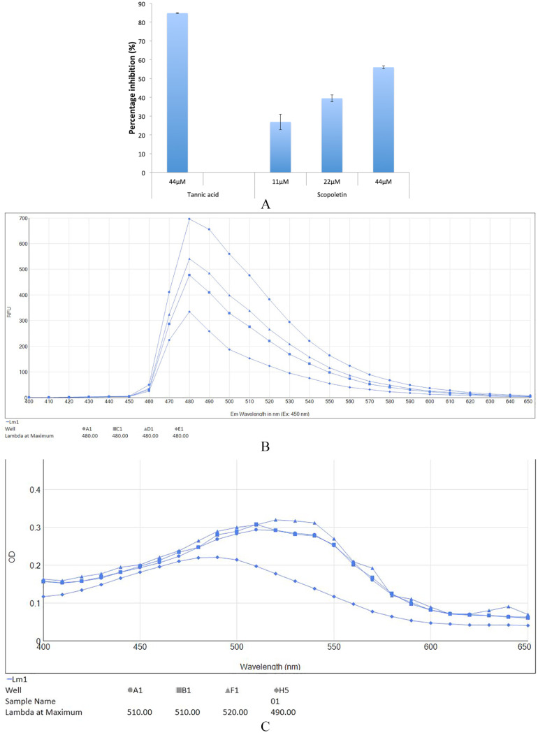 Figure 3.
