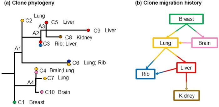 Figure 10.