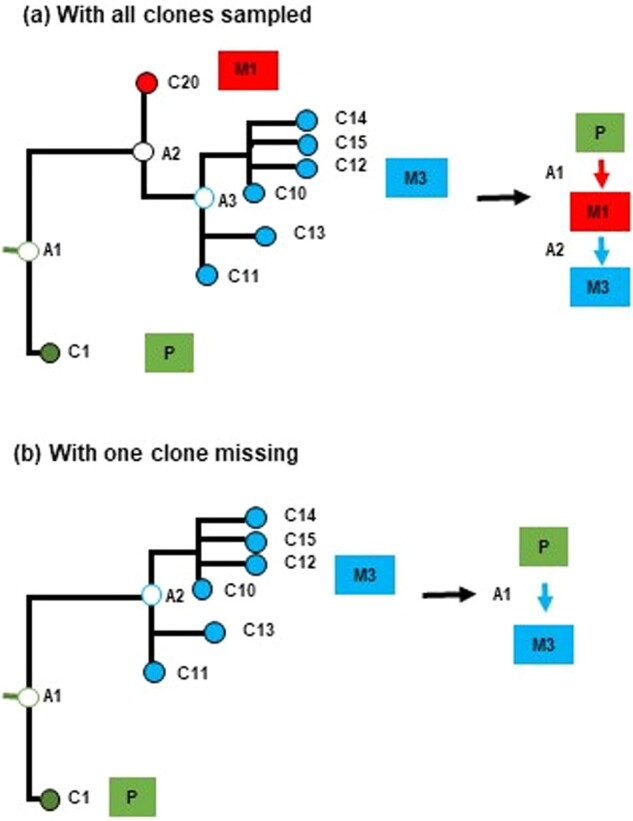 Figure 5.