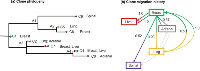 Figure 11.