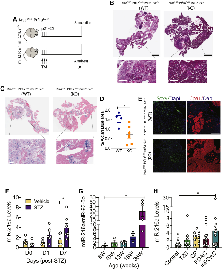 Figure 6