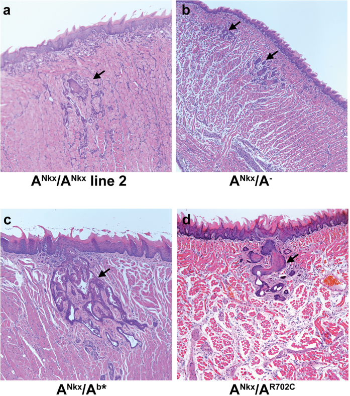 Figure 7