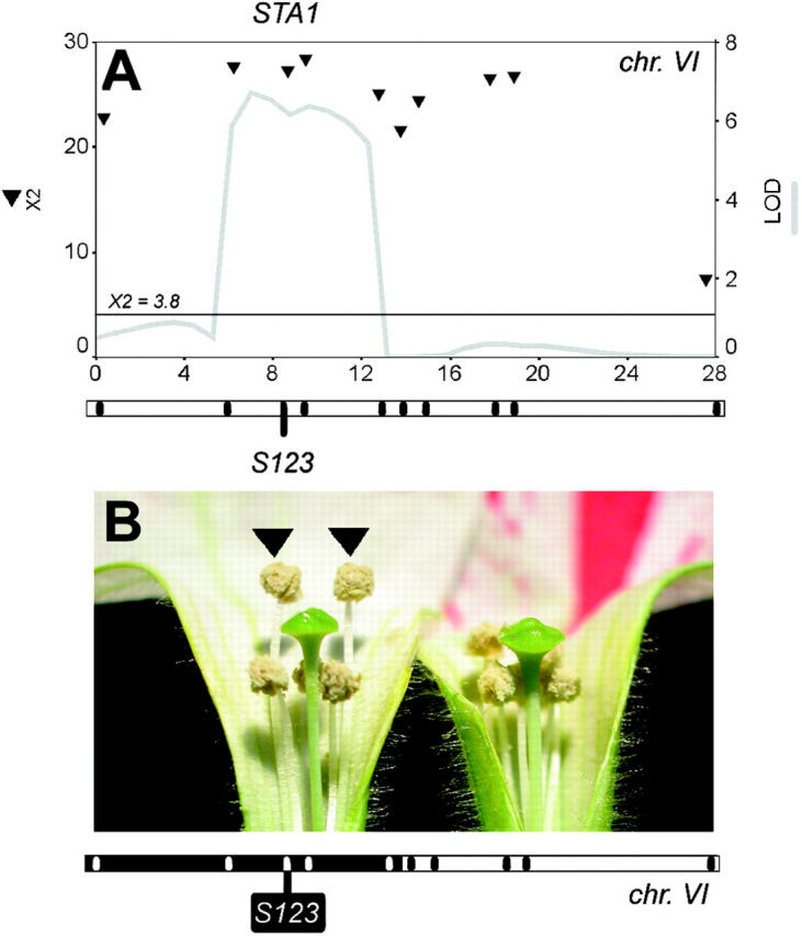 Figure 5.—