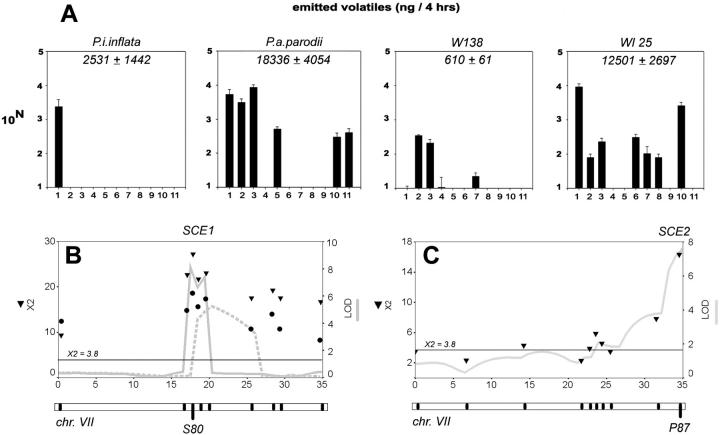 Figure 7.—