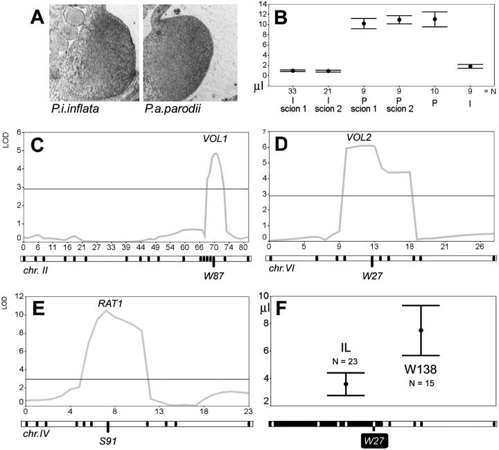 Figure 6.—