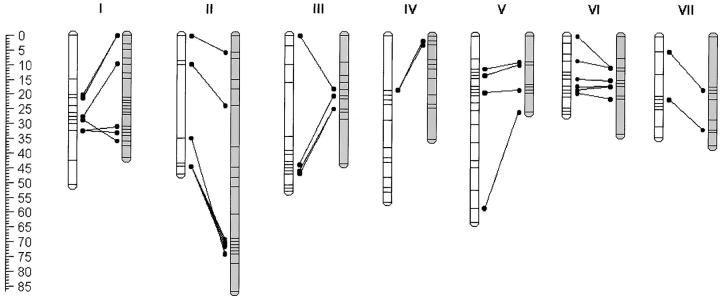 Figure 2.—